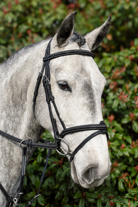 Meadows Bridle - Sale
