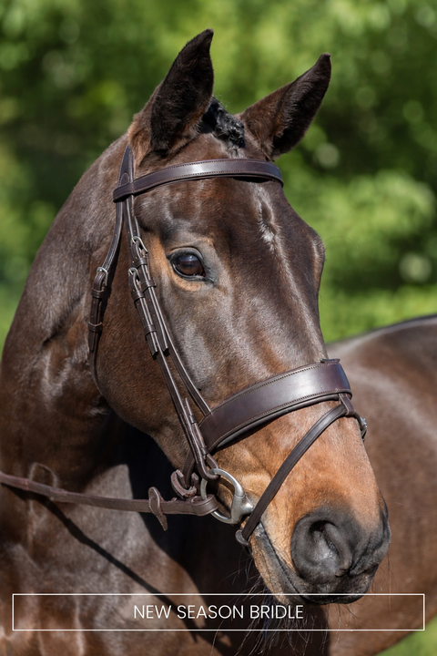 Master's Choice Bridle