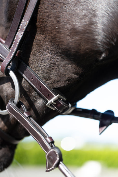 Chk-Chk Lets Go Bridle