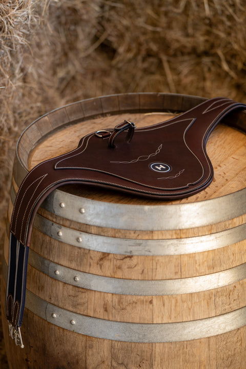 The Legend Stud Guard