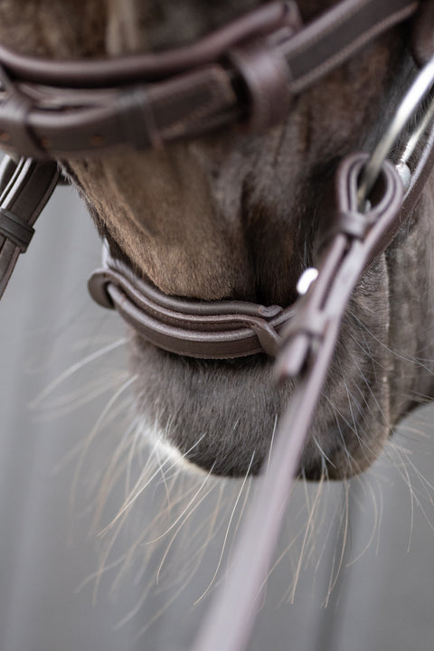 Master's Choice Bridle