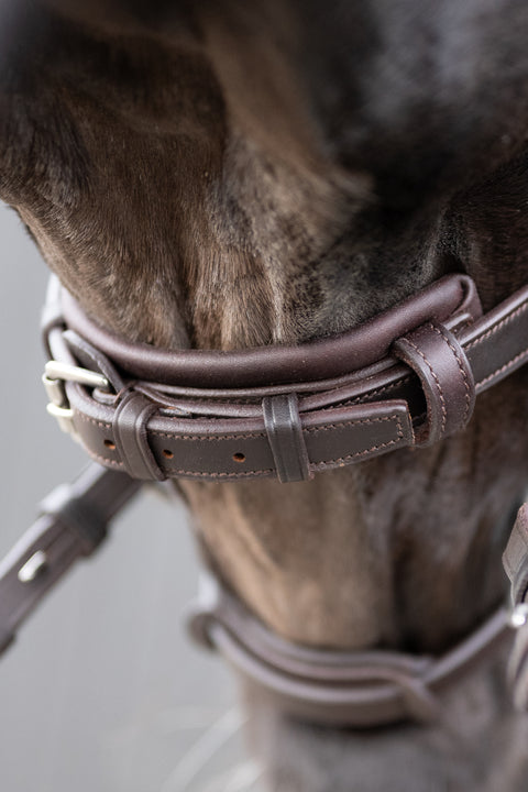 Master's Choice Bridle