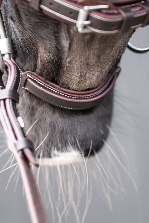 Chk-Chk Lets Go Bridle