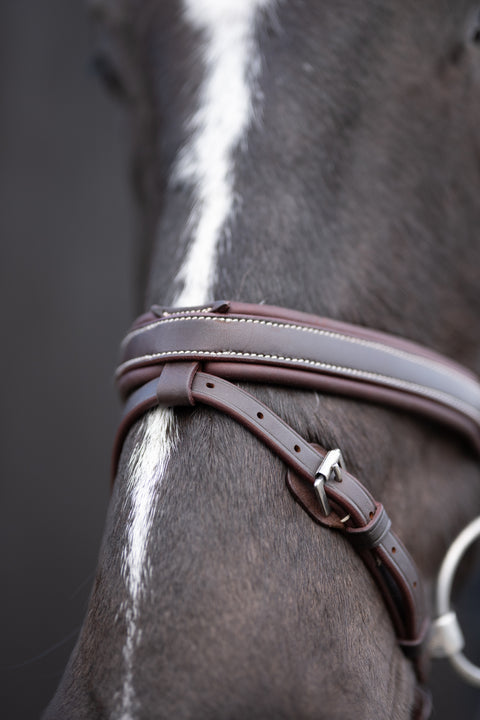 Chk-Chk Lets Go Bridle