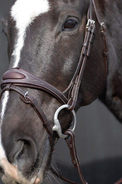 Ultimate Comfort Bridle