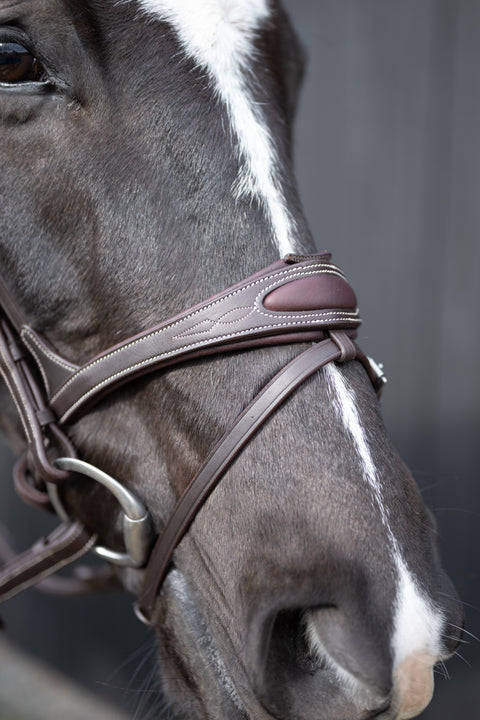 Ultimate Comfort Bridle