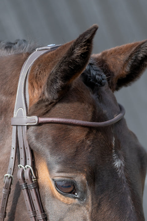 YHW Classic Bridle