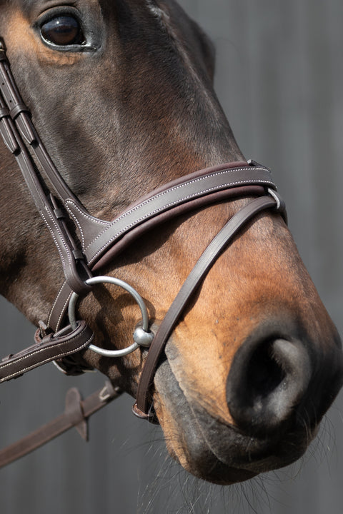YHW Classic Bridle