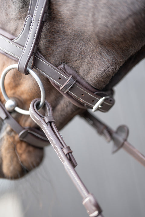 Chk-Chk Lets Go Bridle