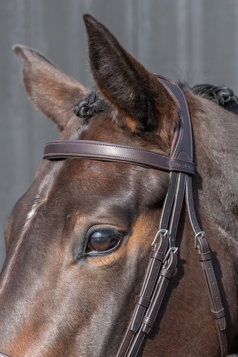 Master's Choice Bridle