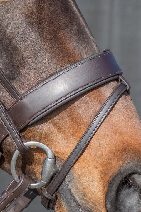 Master's Choice Bridle