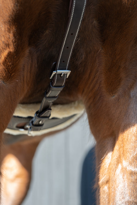 Ridgeline Bridge Breastplate