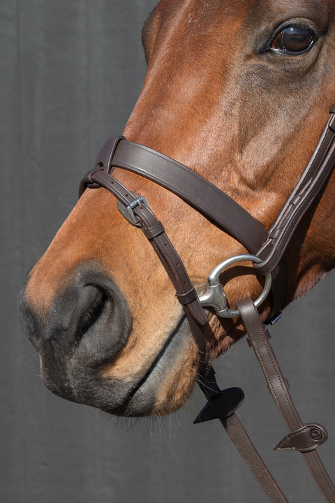 Show Me! Show Bridle