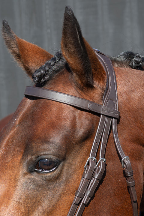 Show Me! Show Bridle