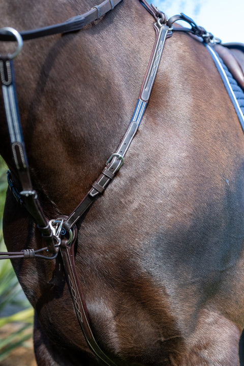 Everest Breastplate