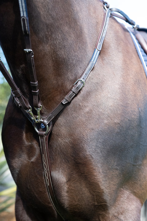 Everest Breastplate
