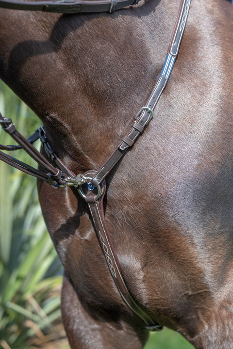 Everest Breastplate