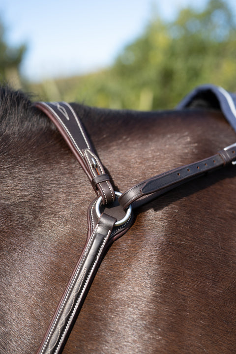 Everest Breastplate
