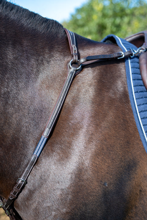 Everest Breastplate