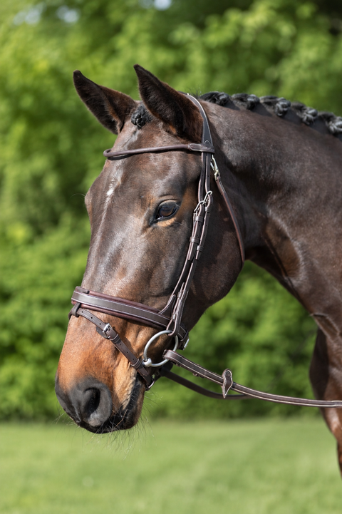 YHW Classic Bridle
