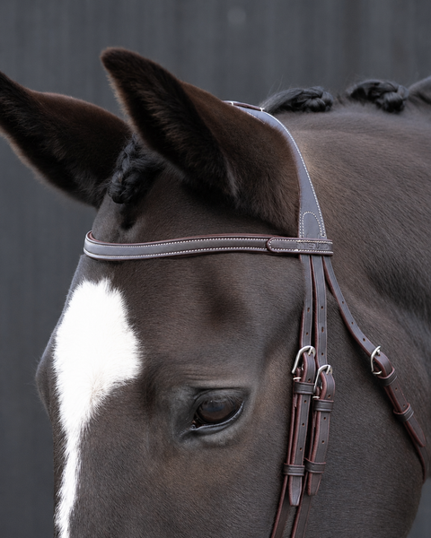 Chk-Chk Lets Go Bridle