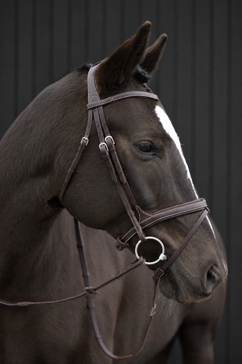 Chk-Chk Lets Go Bridle