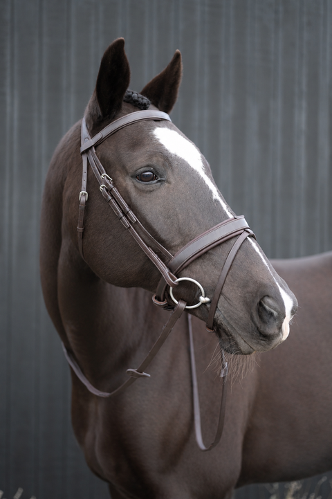 Show Hunter Bridle