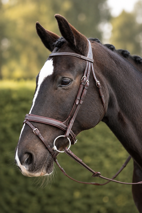 Chk-Chk Lets Go Bridle