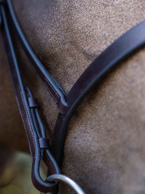 Dolly Bridle