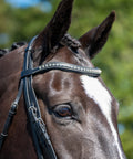 New Wave Browband