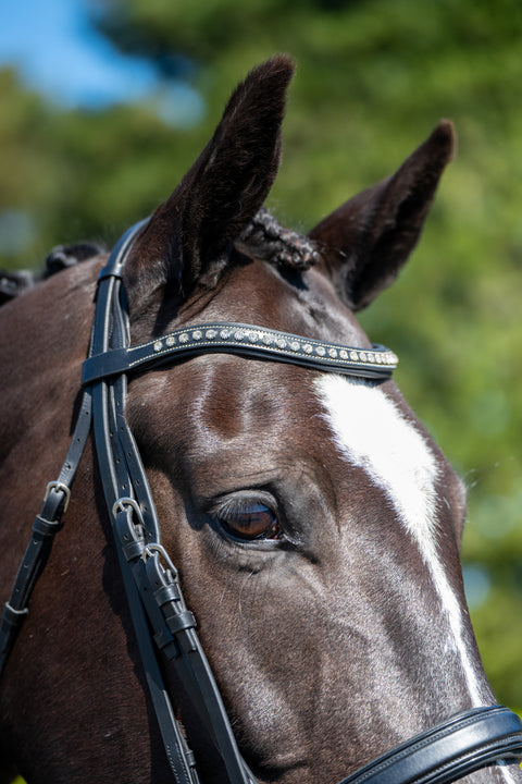 New Wave Browband