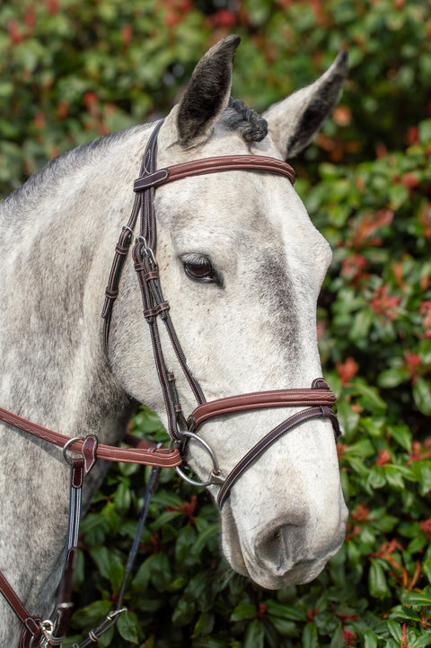 Meadows Bridle