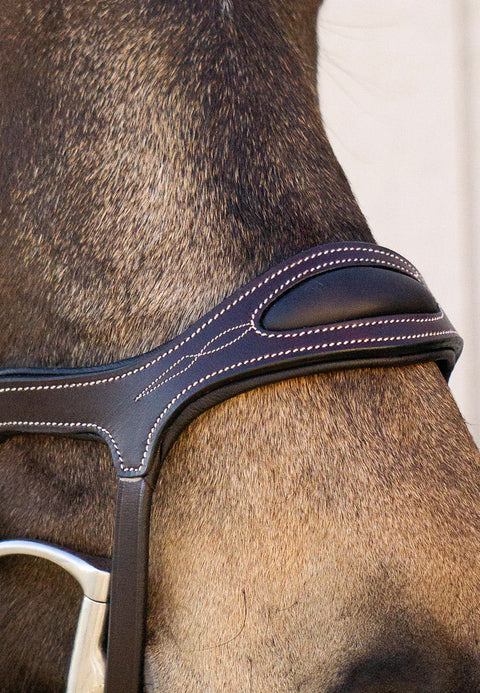 Completely Contoured Bridle