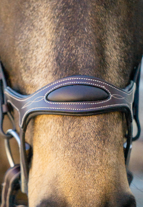 Completely Contoured Bridle