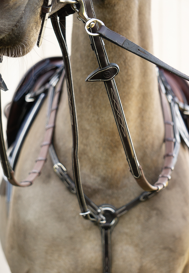 Standing Martingale Attachment Hinterland