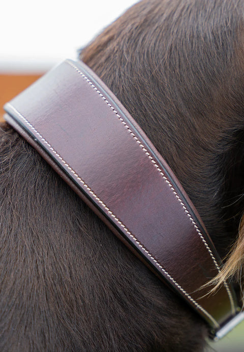 Wide Comfort Collar