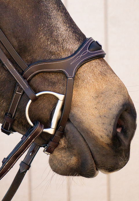 Completely Contoured Bridle