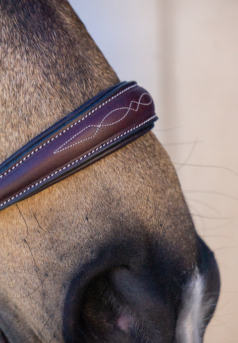 Drop Noseband