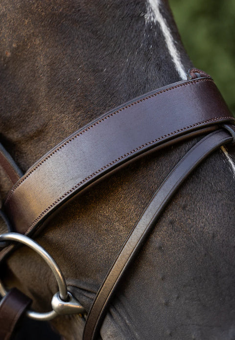 Field Master Bridle