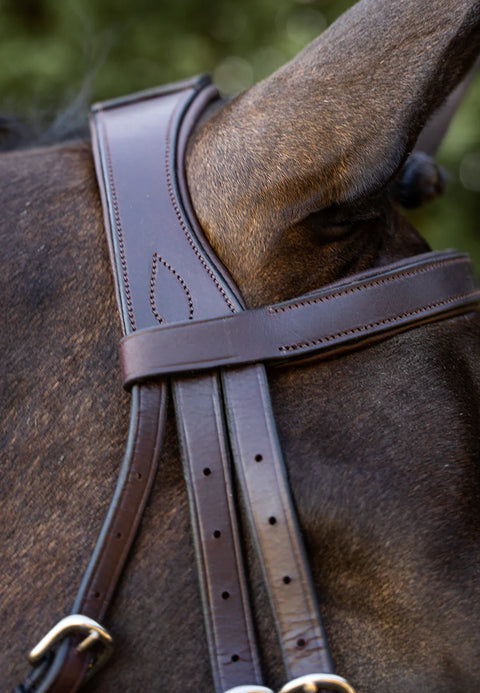 Field Master Bridle