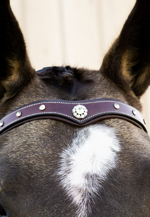 Lone Star Browband