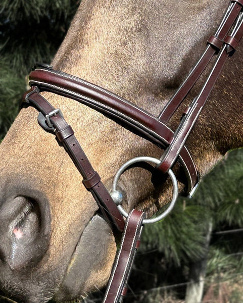 Mainstay Bridle
