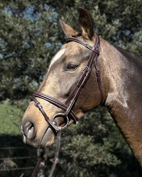 Mainstay Bridle