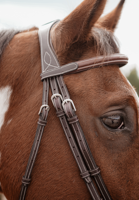 Meadows Bridle