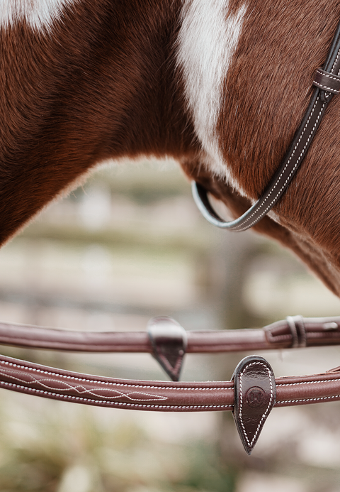 Meadows Bridle *SPECIAL EDITION