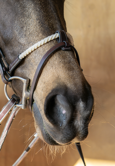 Rope Noseband