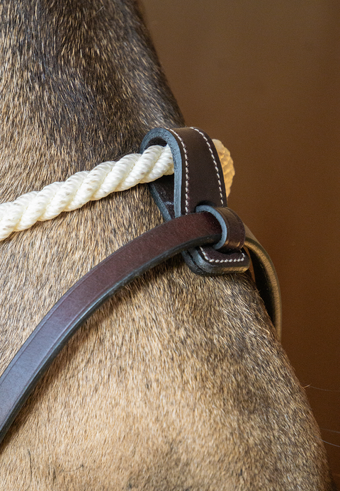 Rope Noseband