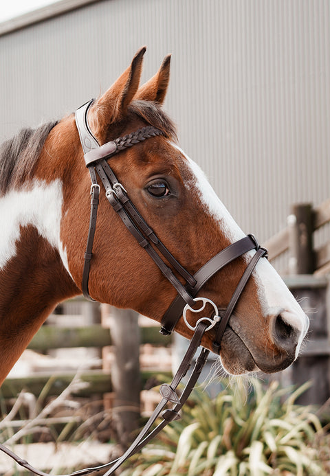 Show Me! Show Bridle