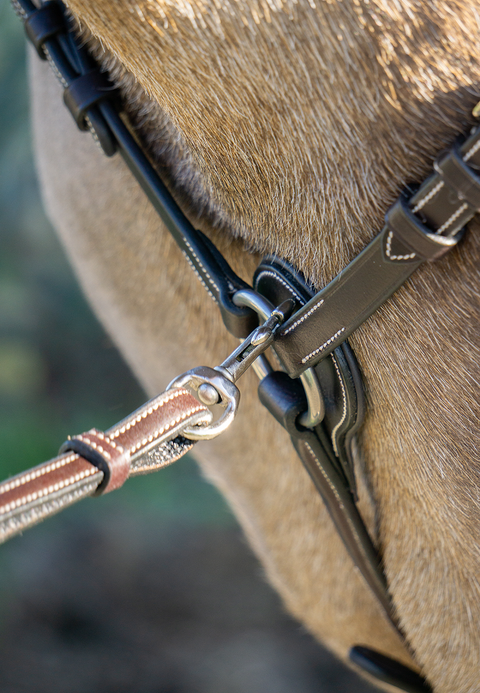 Standing Martingale Attachment