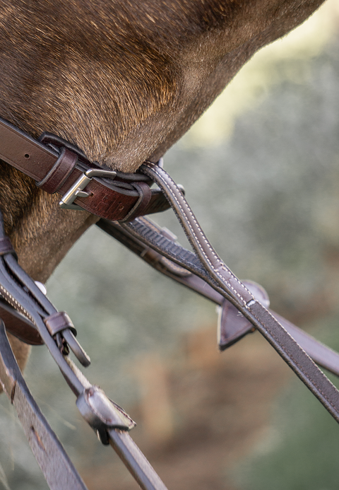 Standing Martingale Attachment